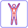 Детектор поз TRASSIR Pose Detector